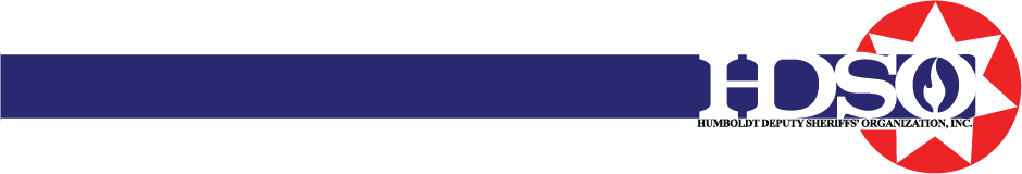 HDSO-Logo-min